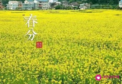 春分吃什么好