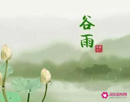 24节气每个节气应该吃什么
