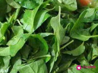 芥兰的作用和功效