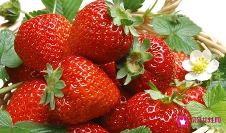 吃什么水果补铁