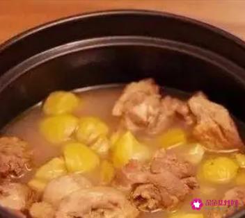 粟子煲鸡汤的做法功效