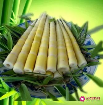 野生小竹笋图片