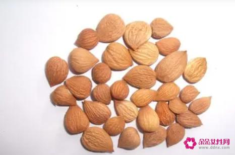 杏仁功效与作用