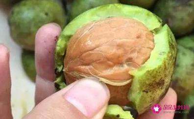 核桃的作用与功效及禁忌