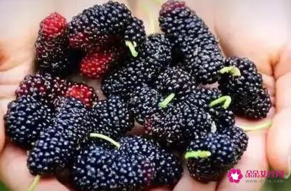 桑葚怎么洗才干净