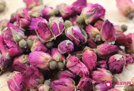 玫瑰花泡水喝的功效与作用