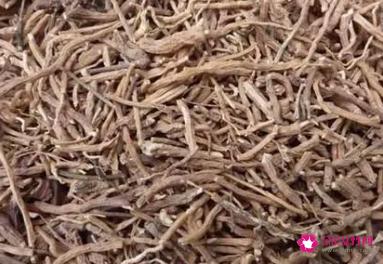 远志的功效作用