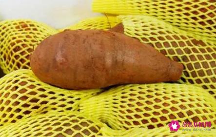 天山雪莲果的功效与作用