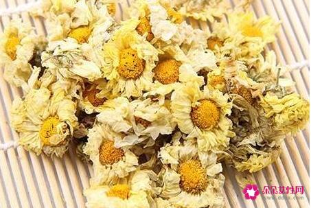 杭白菊的功效与作用是什么