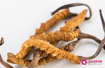 草乌的功效与作用