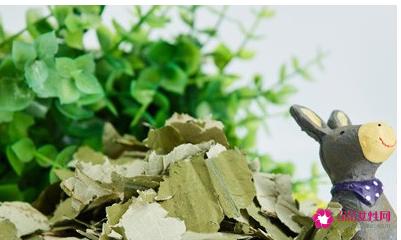 荷叶的功效有哪些