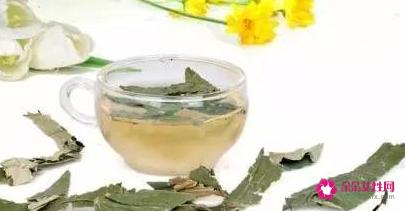 荷叶的功效有哪些