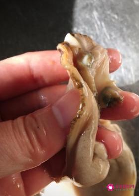 河蚌的做法怎样做好吃