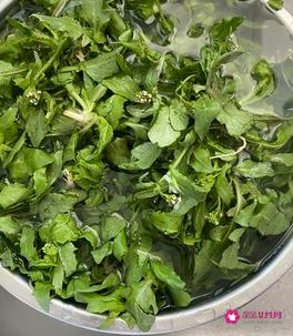 荠菜怎么吃最好吃