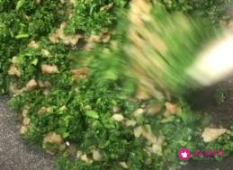 荠菜怎么吃最好吃