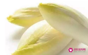新品种蔬菜种类