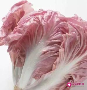 新品种蔬菜种类