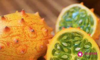 新品种蔬菜种类