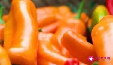 新品种蔬菜种类