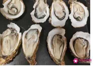 生蚝的做法家常