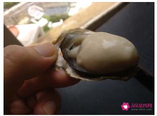 生蚝的做法家常