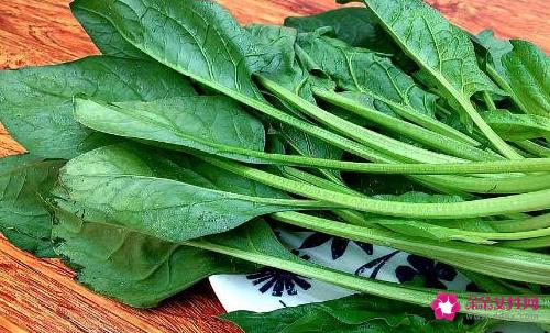 菠菜的营养价值和功效