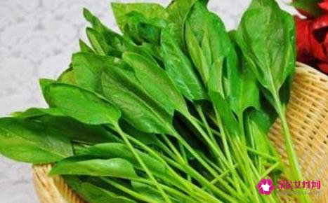 菠菜的营养价值和功效
