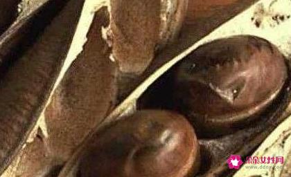 世界上最致命的九种食物排行榜