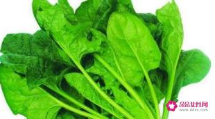 十大强碱性食物排名表