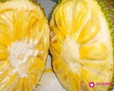 菠萝蜜的作用和功效