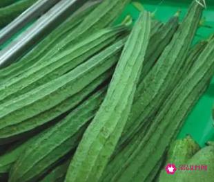 丝瓜功效和作用