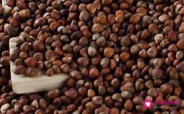 紫苏籽的功效与作用