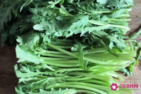 茼蒿菜简单家常做法