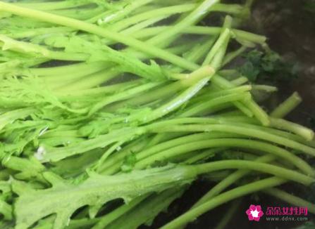 茼蒿菜简单家常做法