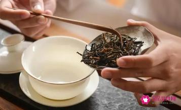 茶叶冲泡方法和技巧