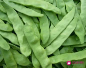 豆角营养价值及功效与作用
