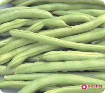 豆角营养价值及功效与作用