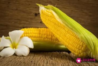 玉米的营养成分有哪些