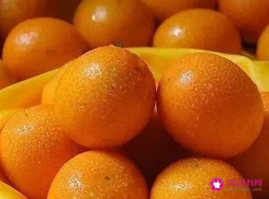 金桔的功效与作用是什么