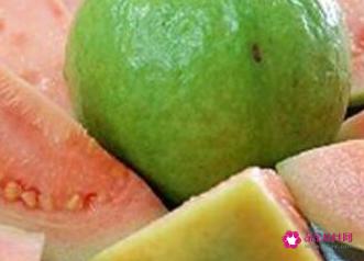 番石榴的功效与作用点