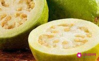 番石榴的功效与作用点