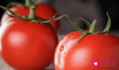 夏天吃什么食物降火