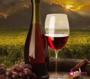 不懂红酒该怎么选购