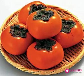 柿子不可以和什么一起吃