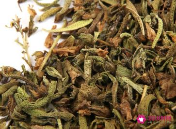 金线莲的作用与功效