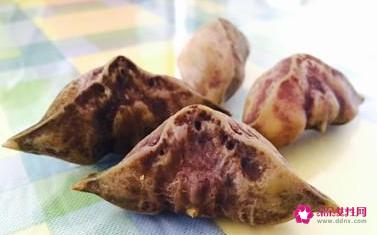 菱角的作用和功效