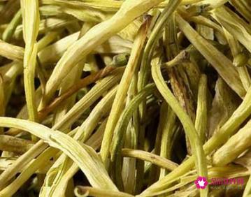 金银花泡水喝的功效与作用