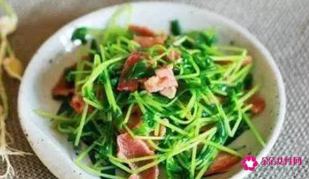 豌豆苗的几种做法