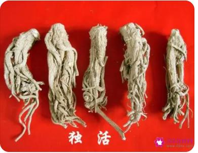 独活的功效与作用