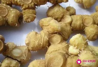 中药黄精的功效作用